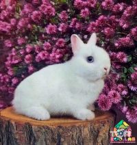 відгуки про zoolab.ua фото