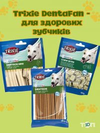 ZOO ROOM Хмельницький фото