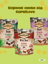 відгуки про ZOO ROOM фото