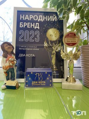 Два кота, ветеринарная клиника