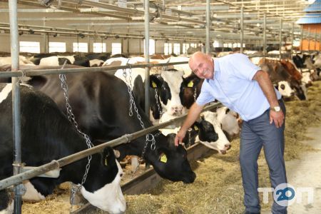 Villa Milk, производитель натуральных молочных продуктов