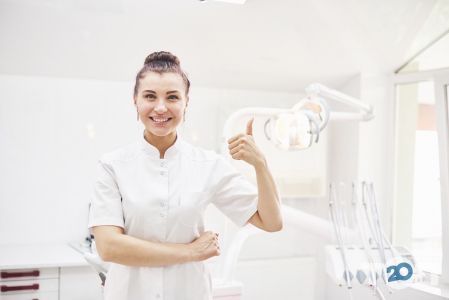 Cedar, стоматологическая студия