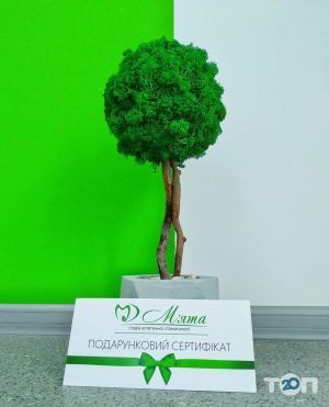 М'ята, студия естетической стоматологии