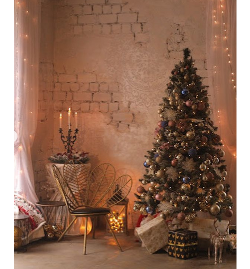 Новогодние локации фотостудий в Кривом Роге