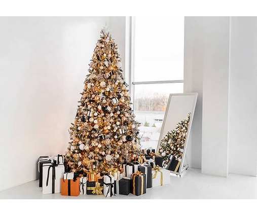 Новогодние локации фотостудий в Харькове