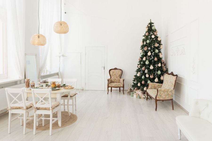 Новогодние локации фотостудий в Житомире