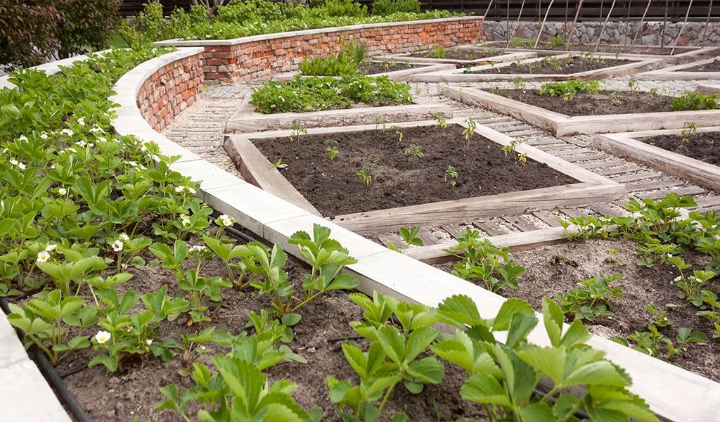 Обзор детских садиков Харькова: стоимость, программа обучения