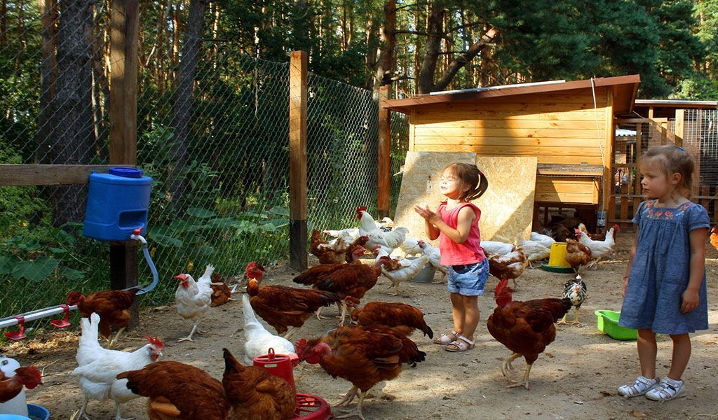 Обзор детских садиков Харькова: стоимость, программа обучения