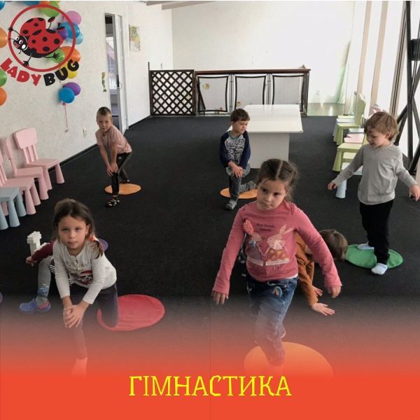 Обзор частных садов Житомира: цены и услуги