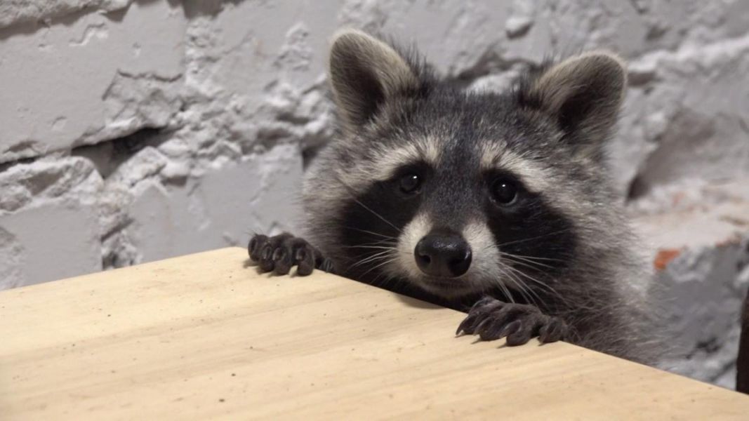 Подборка ТОП кофеень Харькова