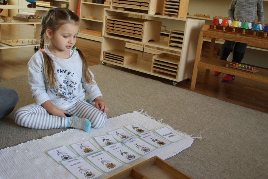 Частные сады в Черкассах: обзор и цены