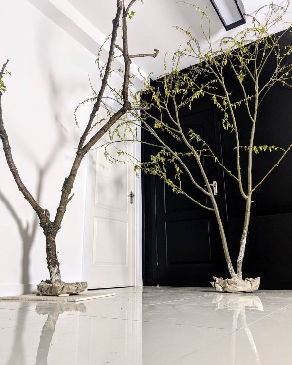 Обзор фотостудий в г. Сумы