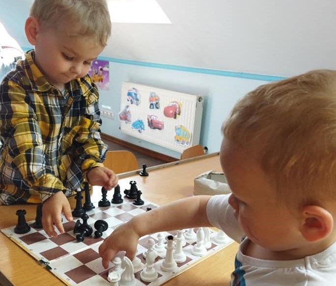 Обзор частных садов Житомира: цены и услуги