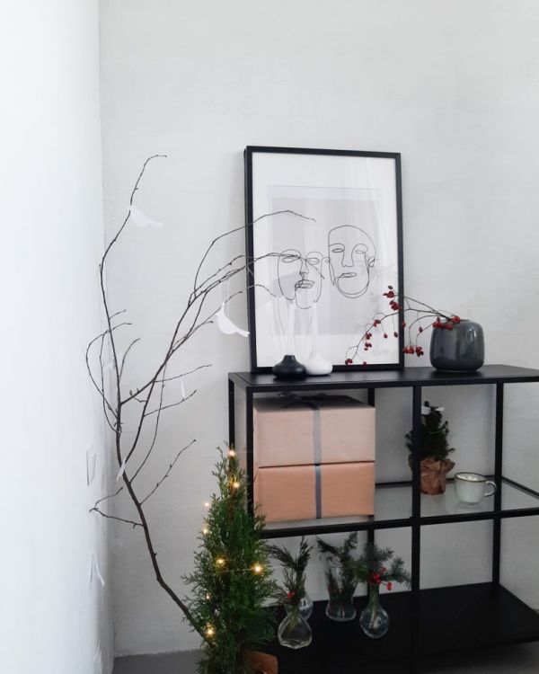 Новогодние локации фотостудий в Житомире