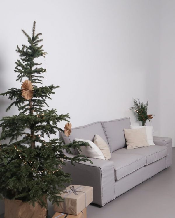 Новогодние локации фотостудий в Житомире