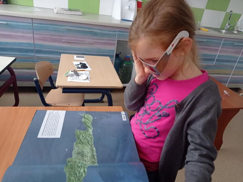 Готовимся к школе: обзор дошкольных центров в Житомире