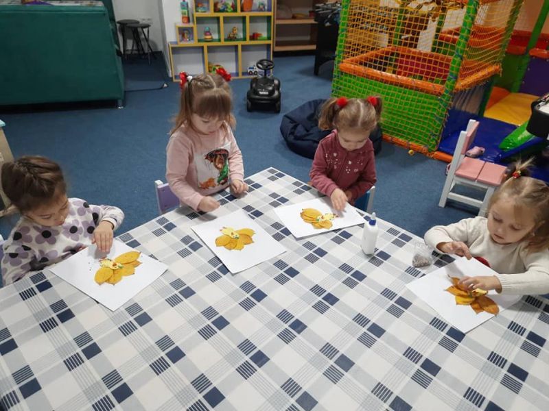 Частные садики г. Ивано-Франковск: обзор