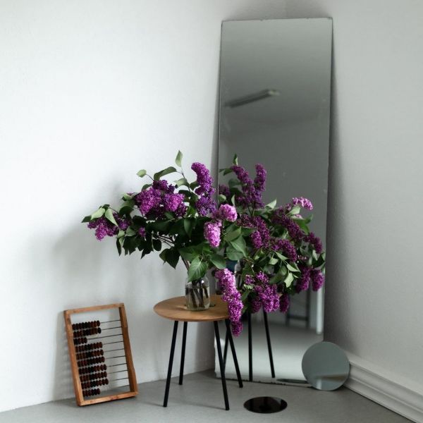 Обзор фотостудий в г. Черновцы