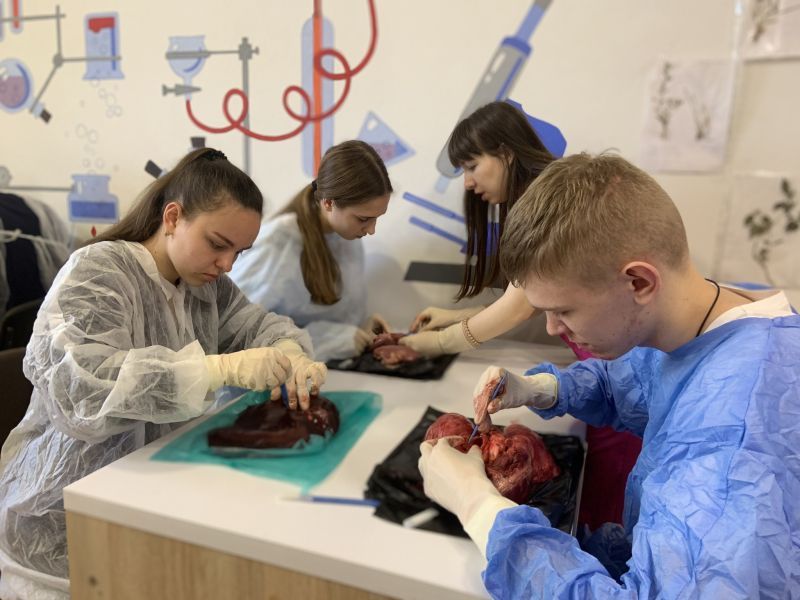 Обзор частных школ в г. Днепр