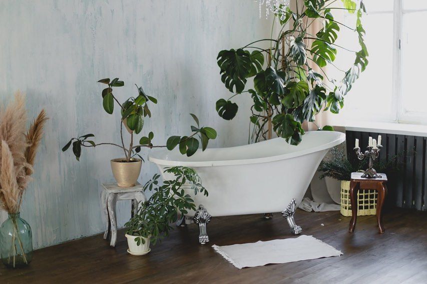 Обзор фотостудий в г. Житомир