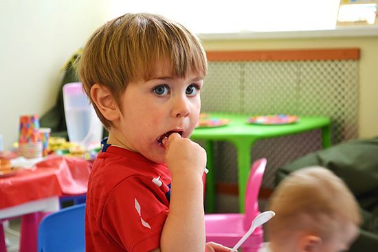 Частные сады Львов по районам: рейтинги, обзоры и цены