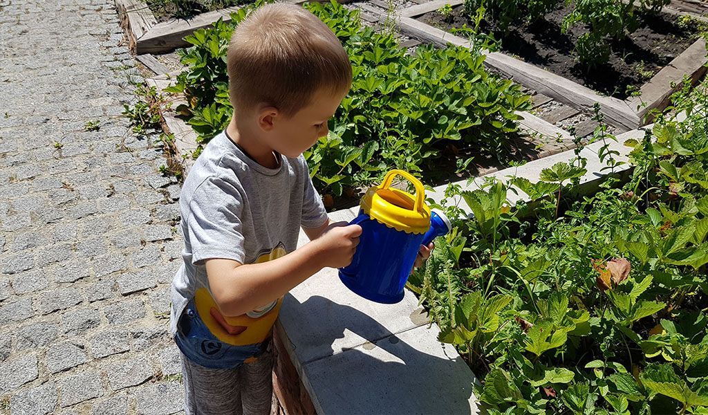 Обзор детских садиков Харькова: стоимость, программа обучения