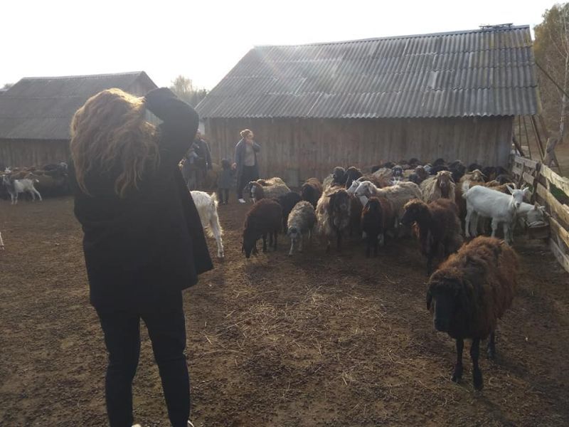Эко-фермы и поля Киевской области: гастротур