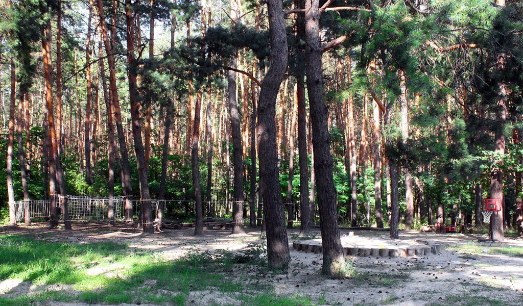 Обзор детских садиков Харькова: стоимость, программа обучения