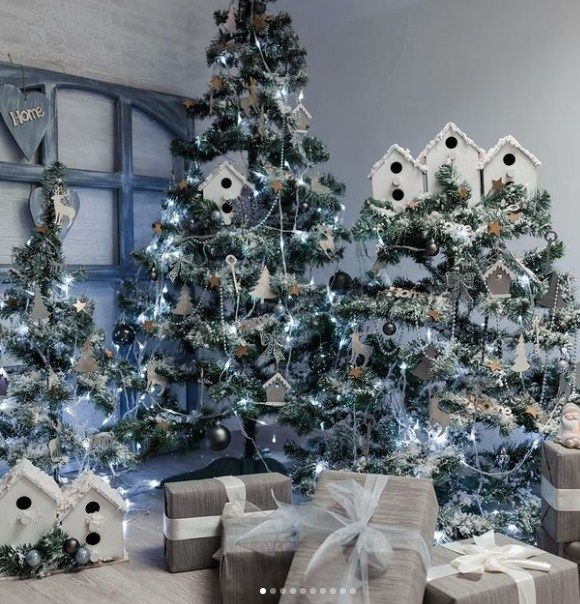 Новогодние локации фотостудий в Тернополе