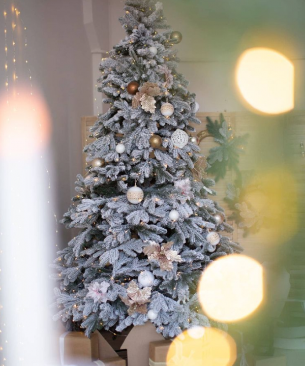 Новогодние локации фотостудий в Луцке