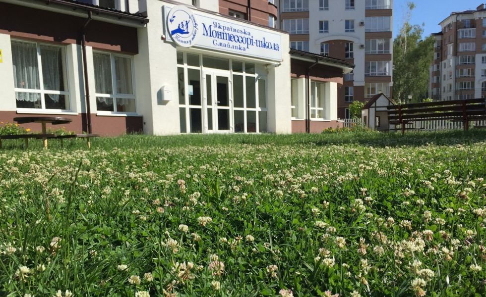 Частные садики г. Ивано-Франковск: обзор