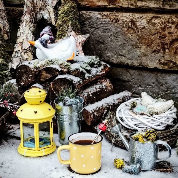 Новогодние фотостудии Хмельницкий