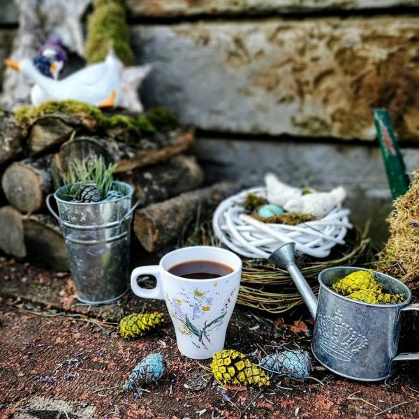 Новогодние фотостудии Хмельницкий