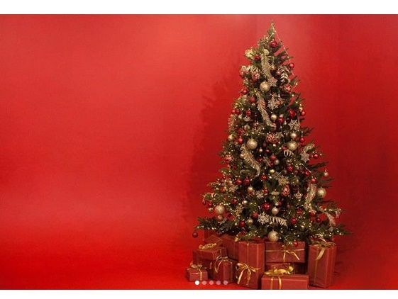 Новогодние локации фотостудий в Кривом Роге