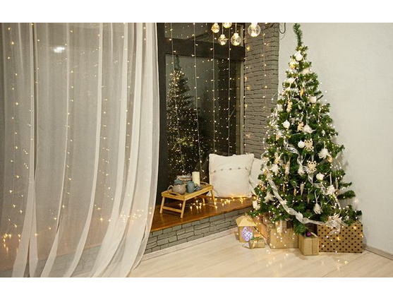 Новогодние локации фотостудий в Кривом Роге