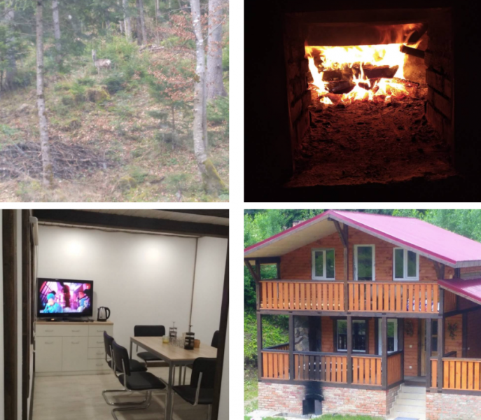 Топ 11 баз для отдыха в закарпатских чанах в Ивано-Франковской области