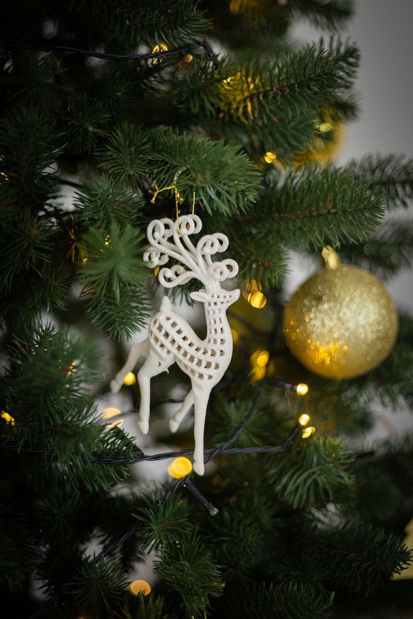 Новогодние локации фотостудий в Житомире