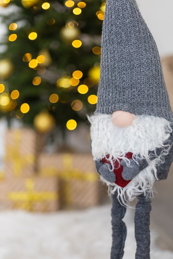 Новогодние локации фотостудий в Житомире