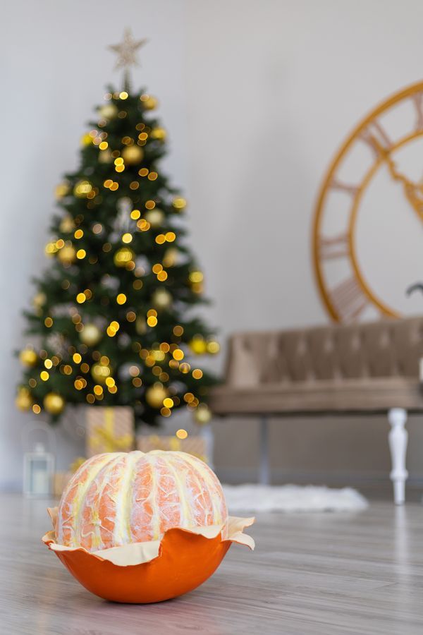 Новогодние локации фотостудий в Житомире