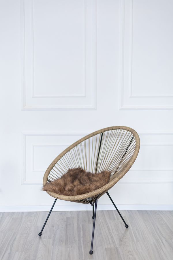 Новогодние локации фотостудий в Житомире