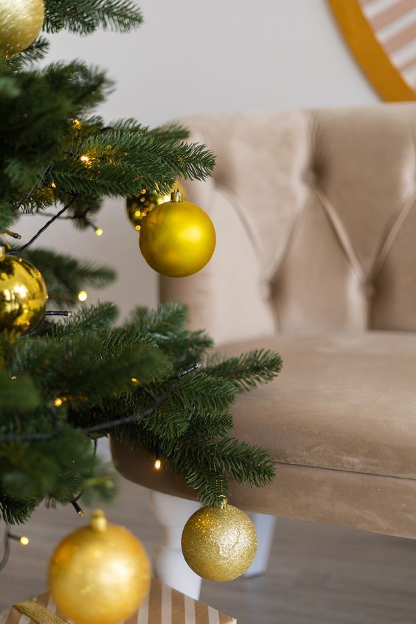 Новогодние локации фотостудий в Житомире