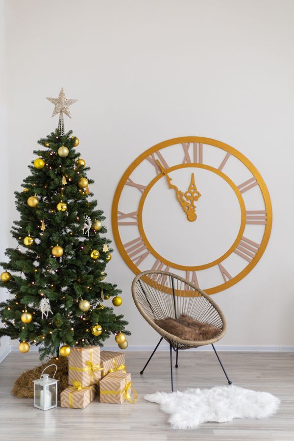 Новогодние локации фотостудий в Житомире