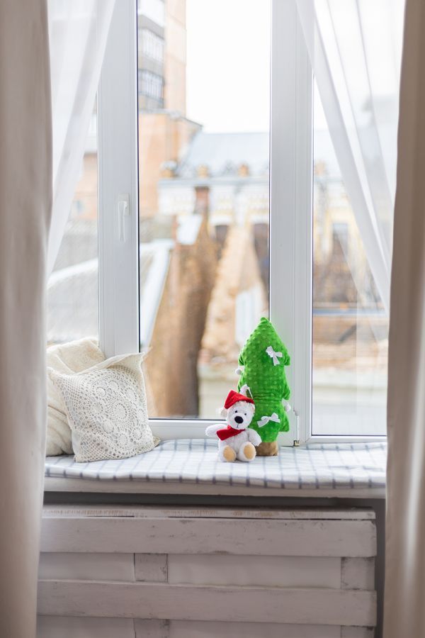 Новогодние локации фотостудий в Житомире