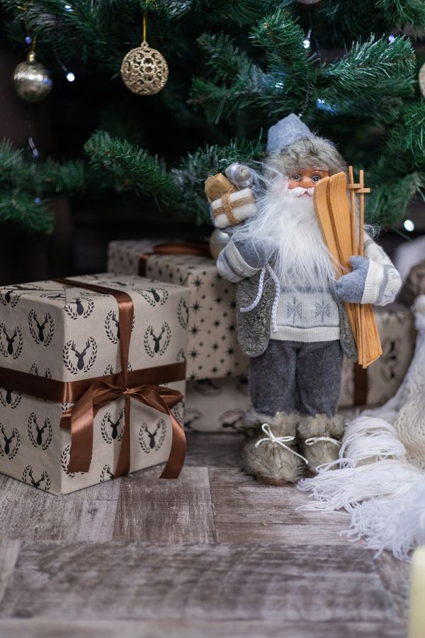 Новогодние локации фотостудий в Житомире