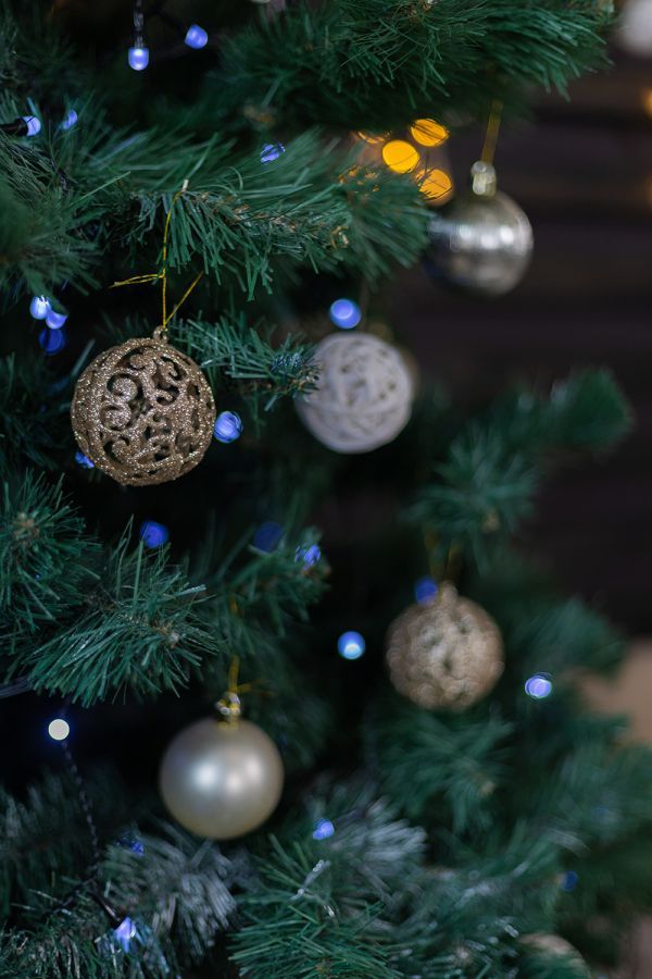 Новогодние локации фотостудий в Житомире