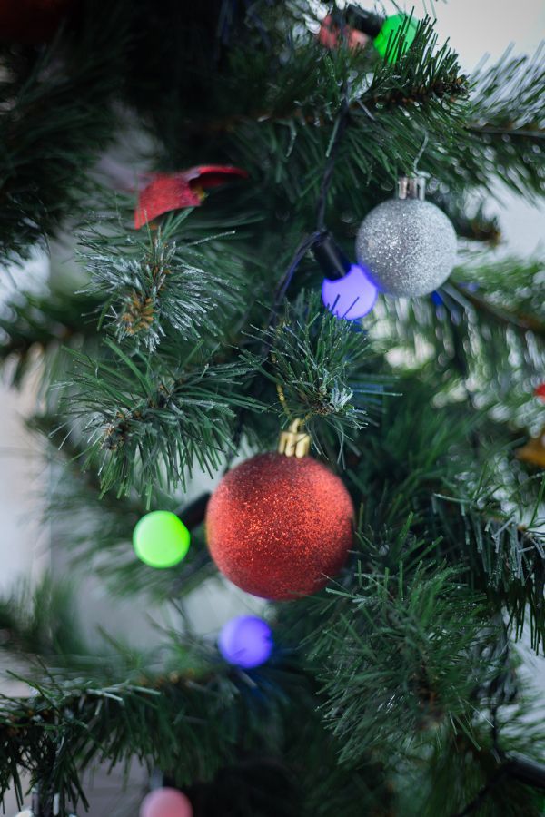 Новогодние локации фотостудий в Житомире