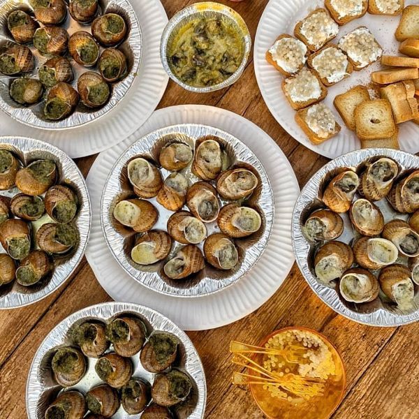 Эко-фермы и поля Киевской области: гастротур