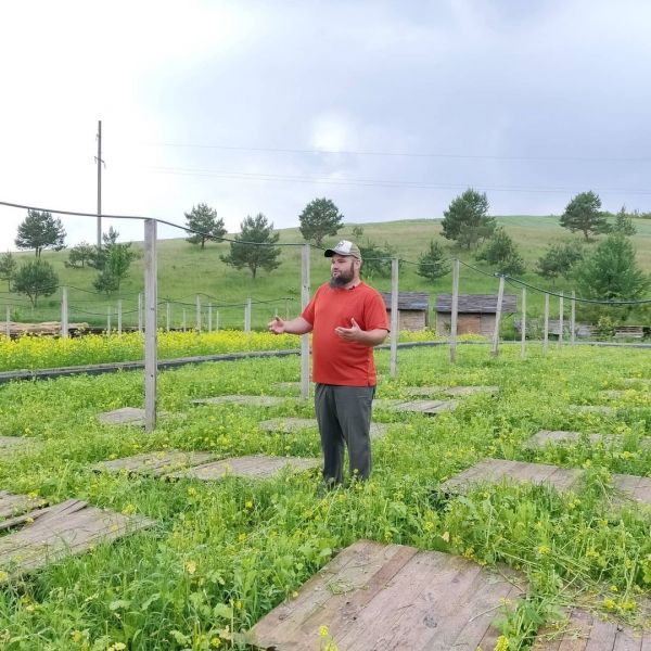 Эко-фермы и поля Киевской области: гастротур