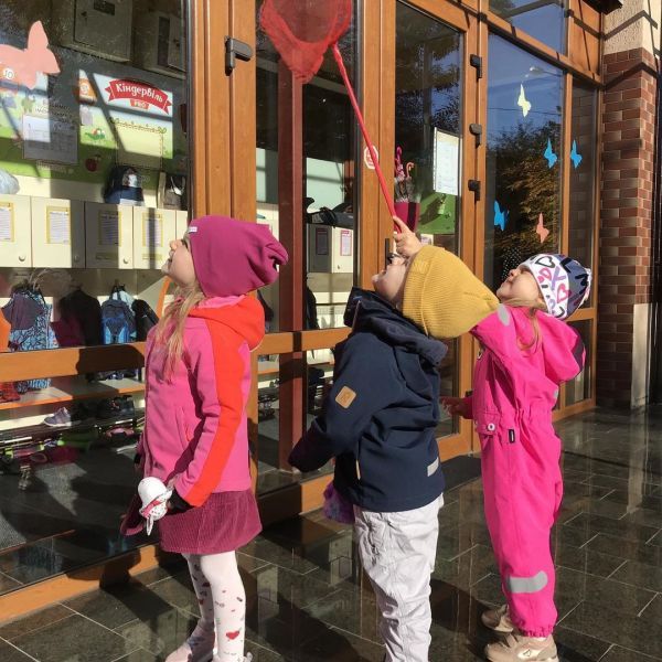 Частные сады Львов по районам: рейтинги, обзоры и цены