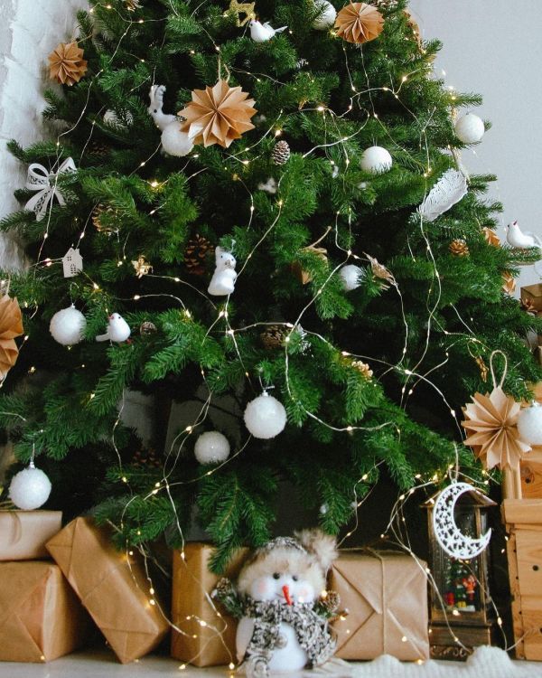 Новогодние фотостудии в Одессе